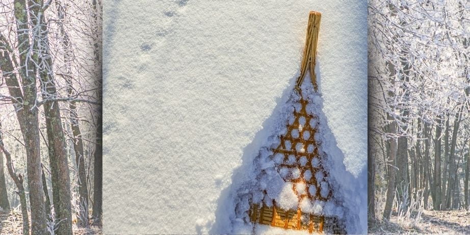 Saturday Snowshoeing at the Forest History Center