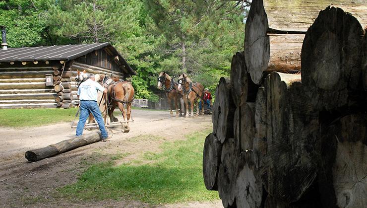 Overview of the Forest History Center, showcasing its exhibits and nature trails.