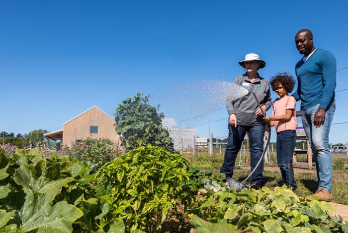 memdev_web_endow_mobo_0